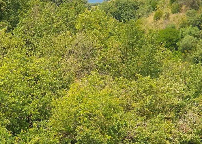 Bed and Breakfast Bb Vista Mare - Sea View San Nicola Arcella